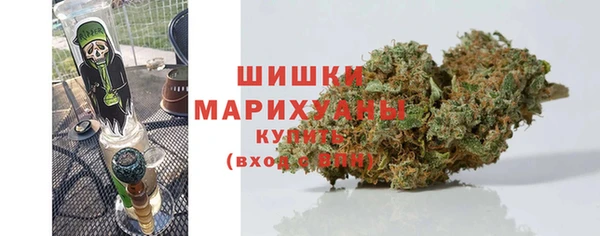 хмурый Горняк