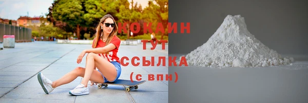 прущая мука Вяземский
