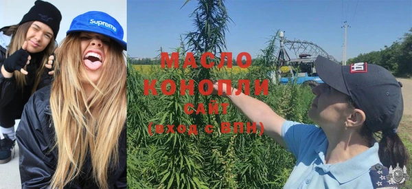 прущая мука Вяземский
