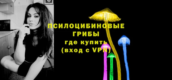 молекула духа Вязники