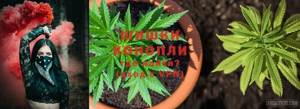 молекула духа Вязники