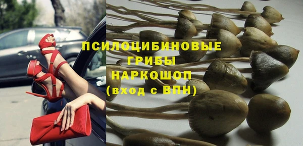 молекула духа Вязники